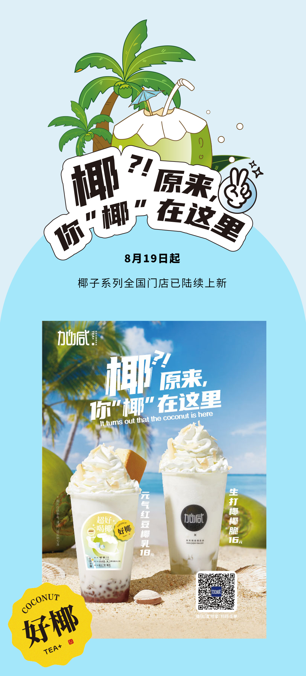 哈哈体育茶饮